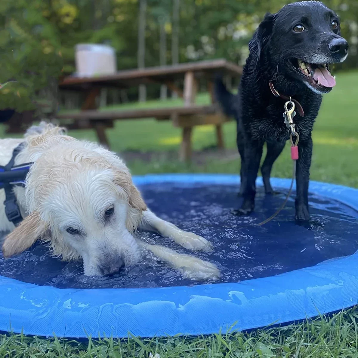 100/150/200cm Summer Pet Sprin - Slip Slide Water Mat recension och pris