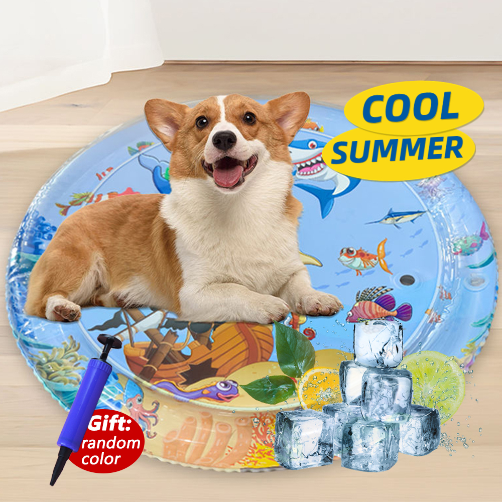 Water Sensory Play Mat Thicken - Slip Slide Water Mat recension och pris