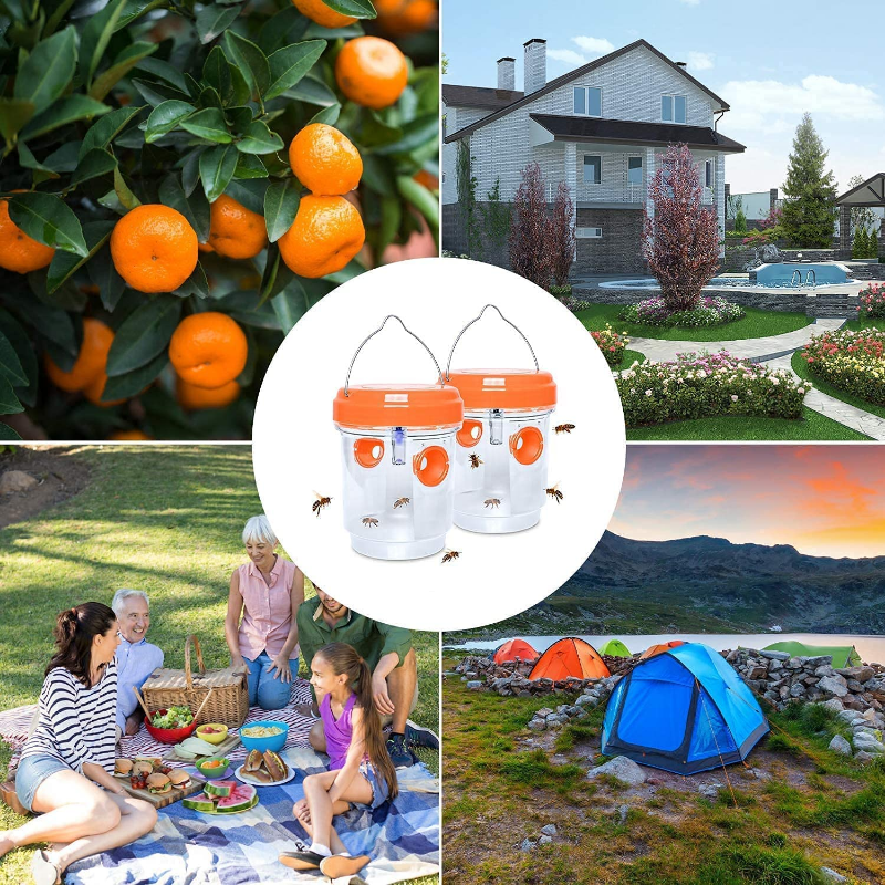 Solar Wasp Traps Hanging Yello - Bug Catching Kit recension och pris